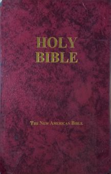 THE NEW AMERICAN BIBLE